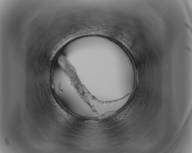 X0000091221500200708301439