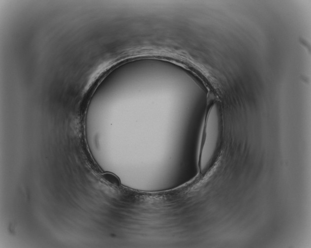 X0000091221501200708301439