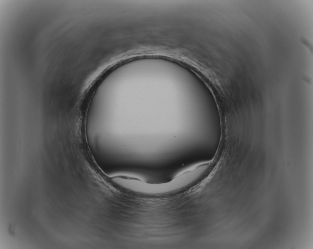 X0000091221502200708301439