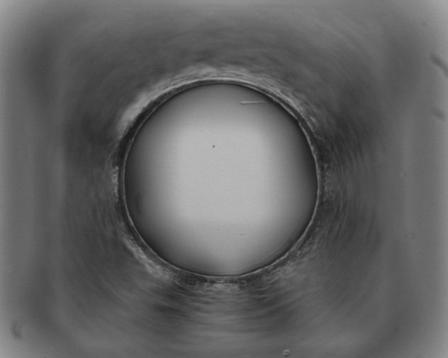 X0000091221503200708301439