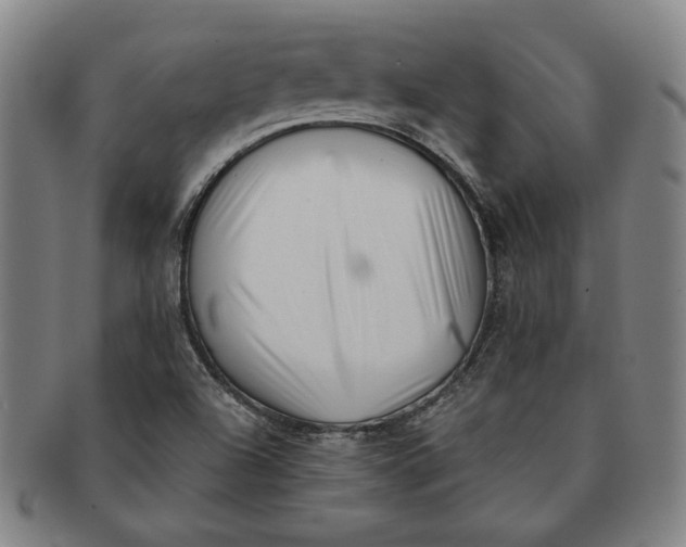 X0000091221504200708301439