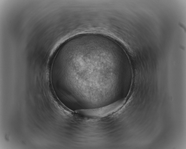 X0000091221506200708301439