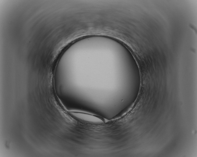 X0000091221507200708301439