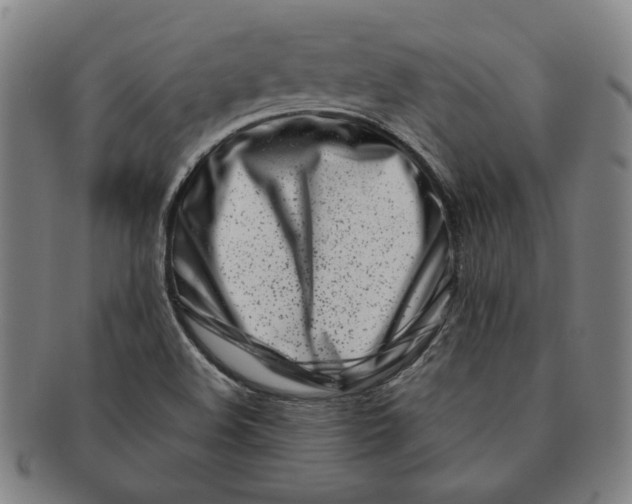 X0000091221508200708301439