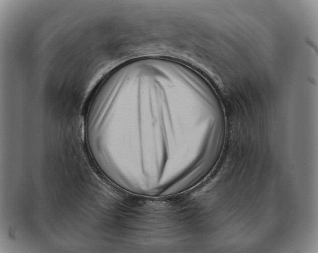 X0000091221509200708301439