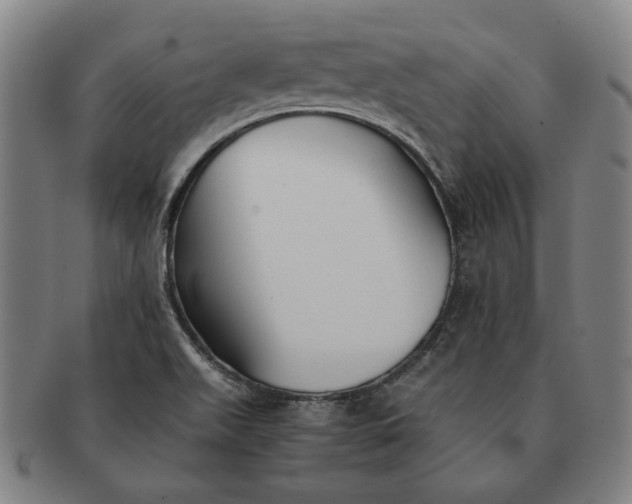 X0000091221511200708301440