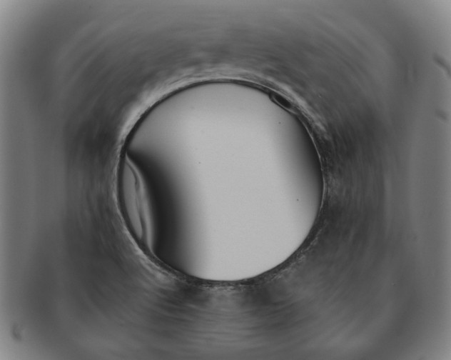 X0000091221512200708301440