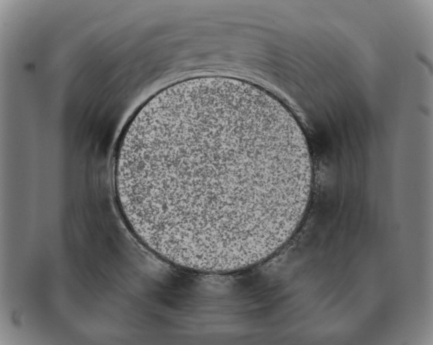 X0000091221514200708301440