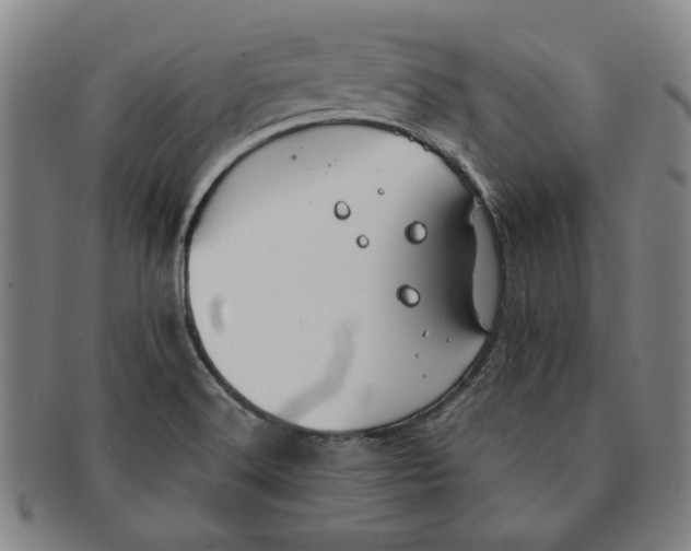 X0000091221516200708301440