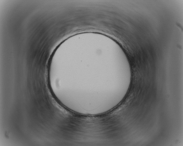 X0000091221518200708301440