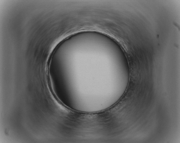 X0000091221519200708301440