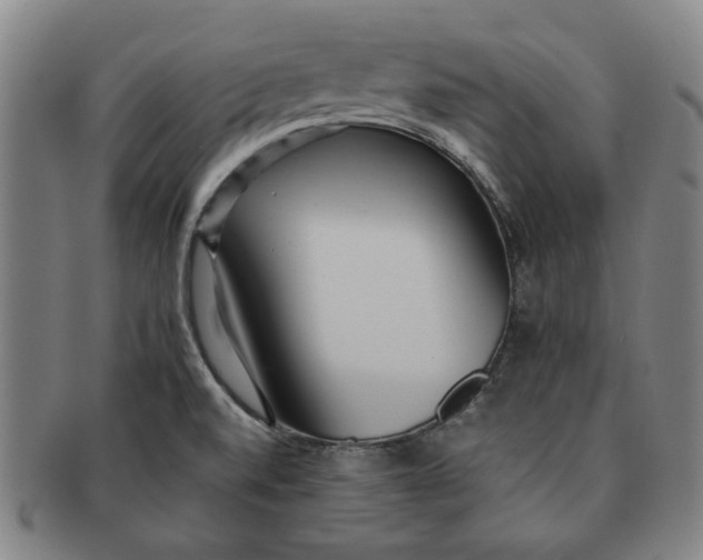 X0000091221520200708301440