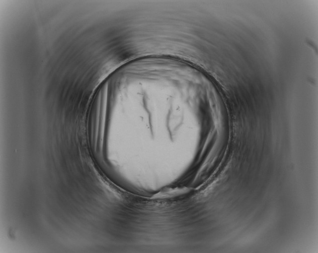 X0000091221521200708301440