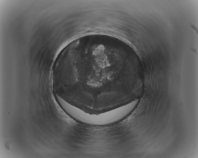 X0000091221522200708301440