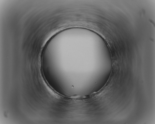 X0000091221523200708301440