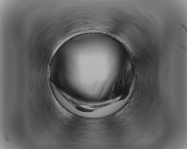 X0000091221524200708301440