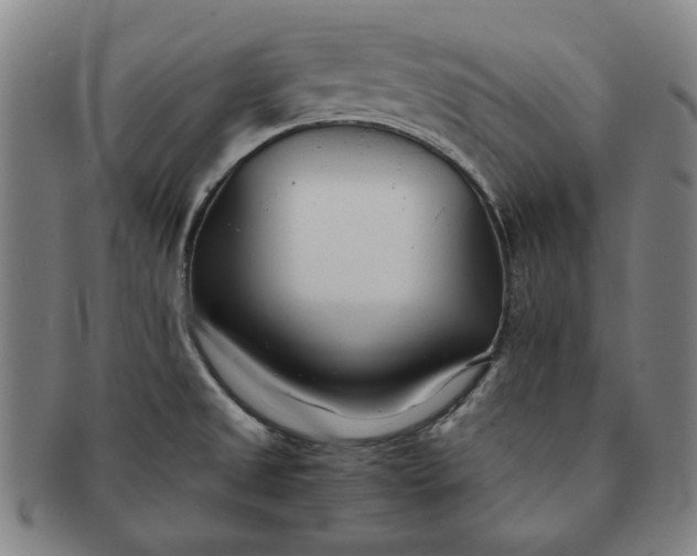 X0000091221525200708301440