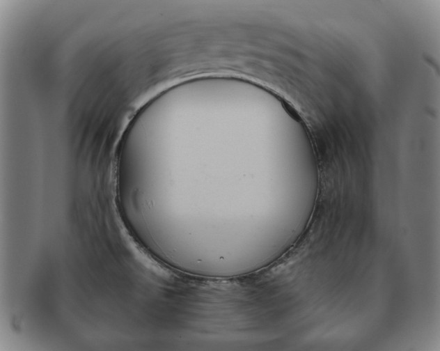 X0000091221526200708301440