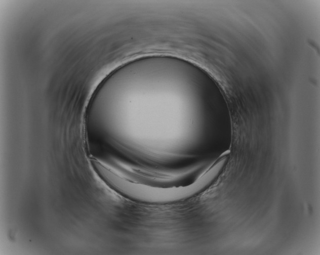 X0000091221527200708301440