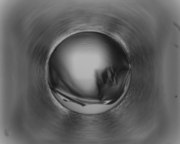 X0000091221528200708301440