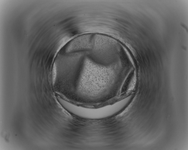 X0000091221529200708301440