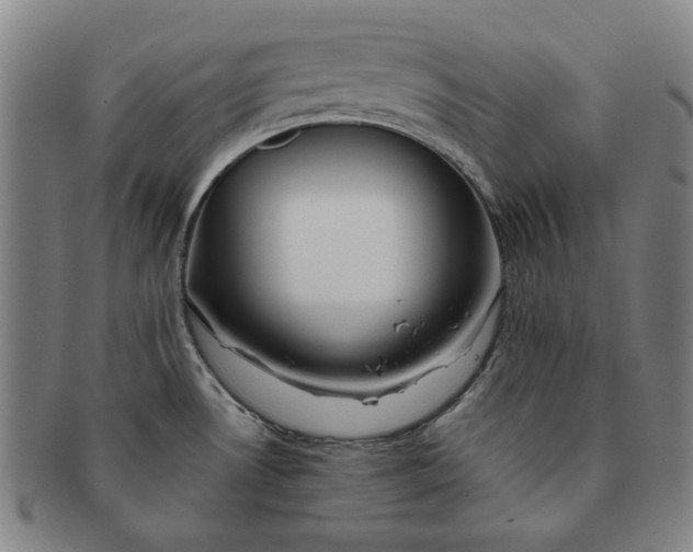 X0000091221530200708301440