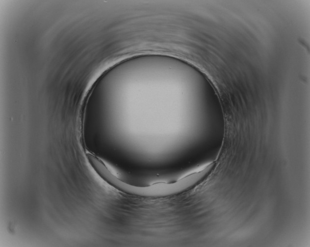 X0000091221531200708301440