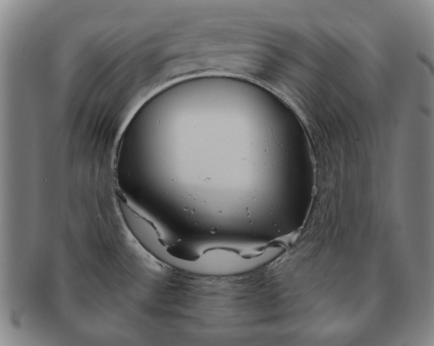 X0000091221532200708301440