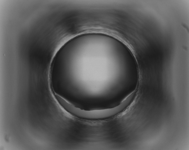 X0000091221533200708301440