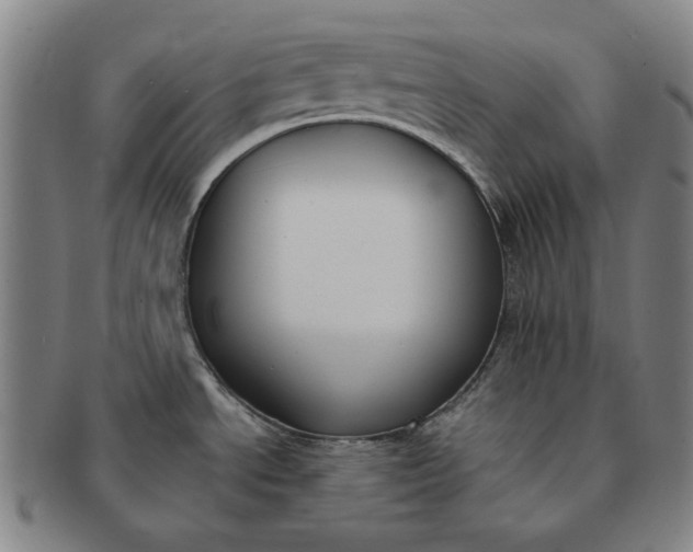 X0000091221534200708301440