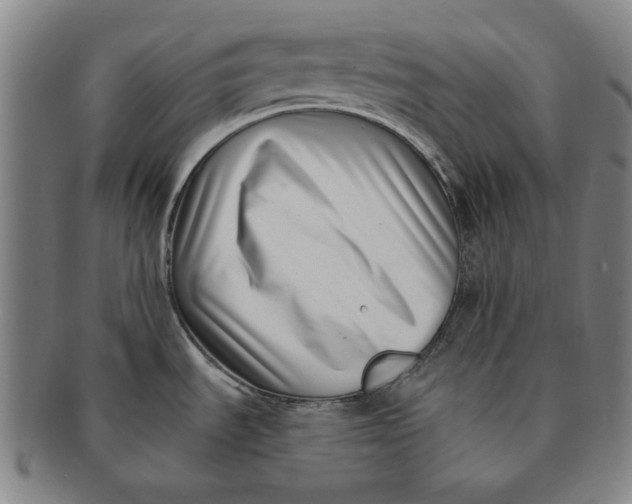 X0000091221535200708301440