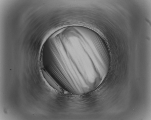 X0000091221536200708301440