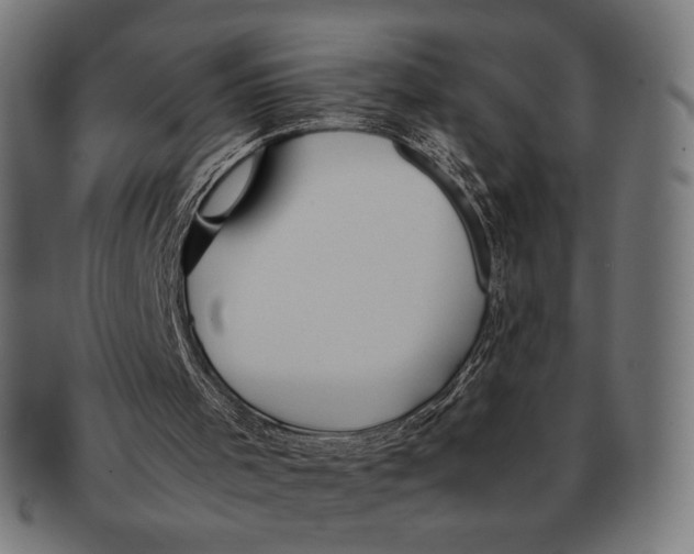 X0000091220001200709061508