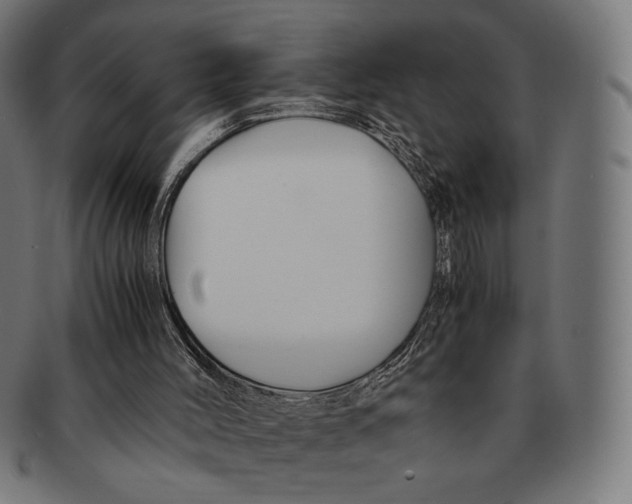 X0000091220004200709061508