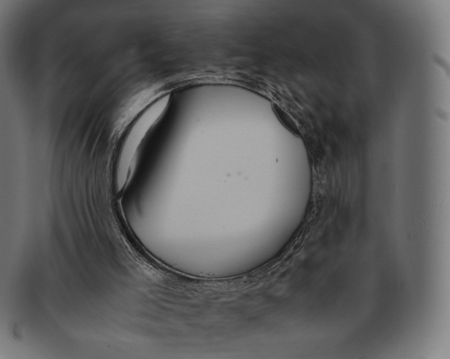 X0000091220005200709061508