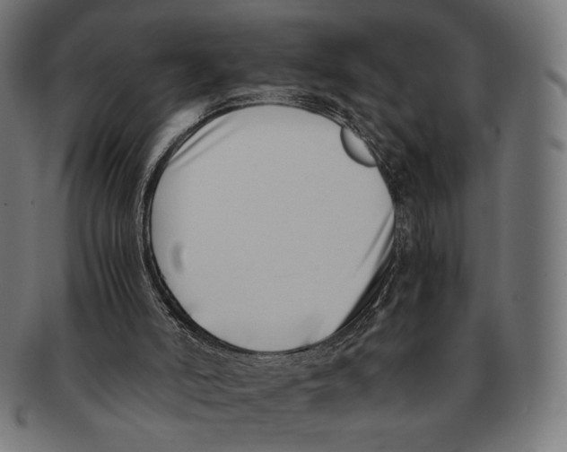 X0000091220006200709061508