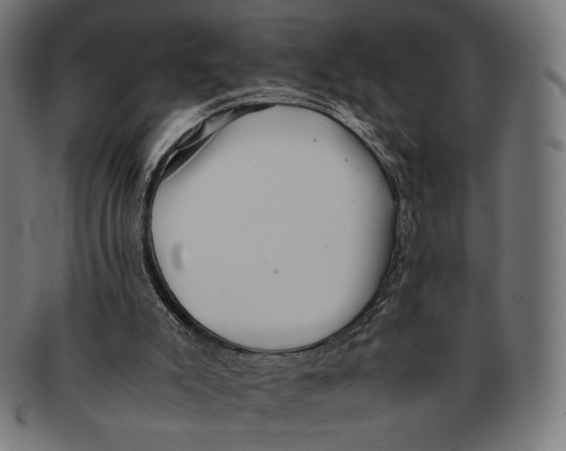 X0000091220007200709061508