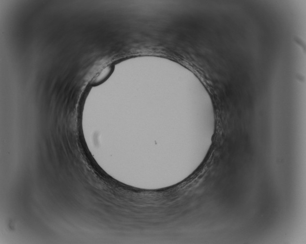 X0000091220008200709061508