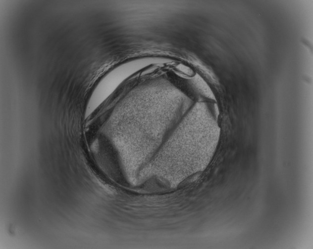 X0000091220009200709061508