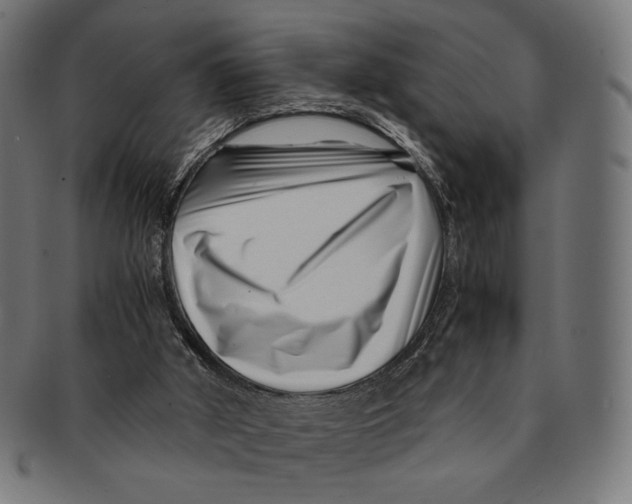 X0000091220010200709061508