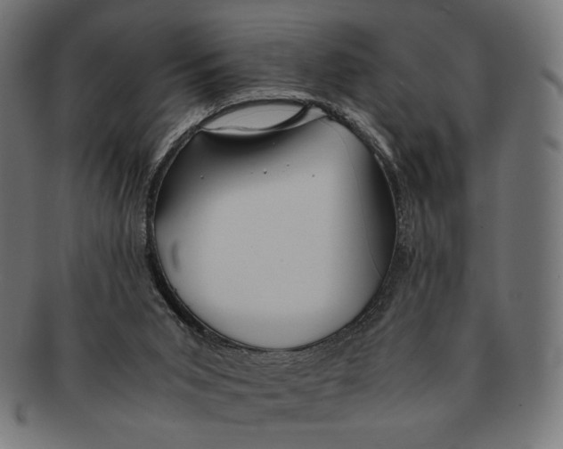 X0000091220015200709061508