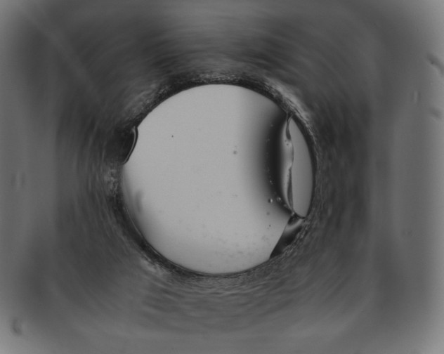 X0000091220017200709061508