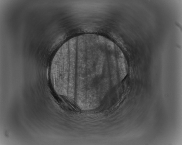 X0000091220019200709061508