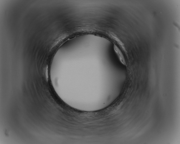 X0000091220020200709061508