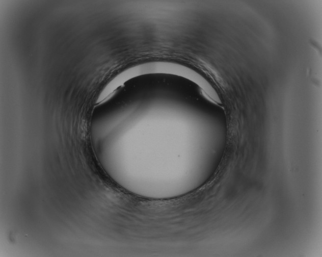 X0000091220025200709061508