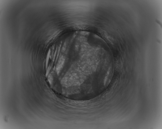 X0000091220027200709061508