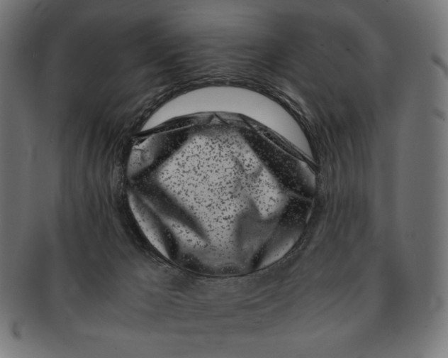 X0000091220029200709061508