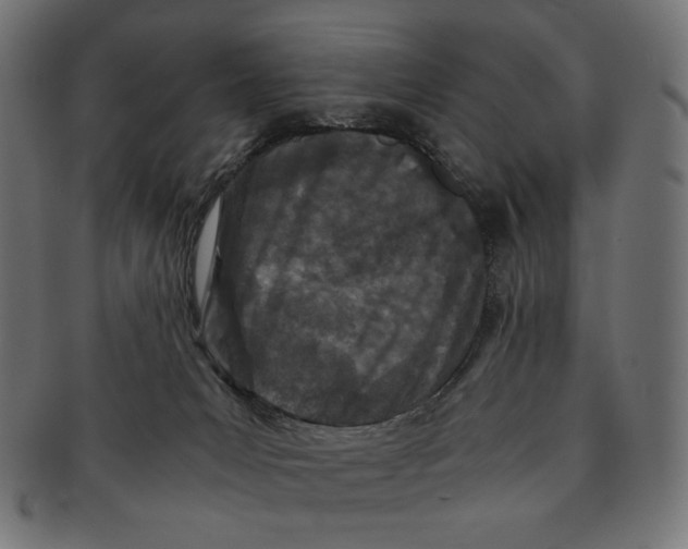 X0000091220031200709061508