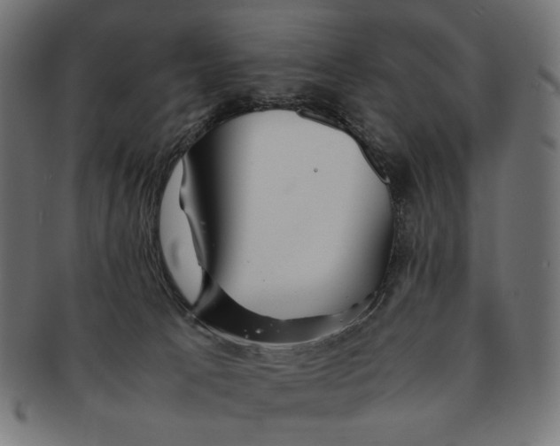 X0000091220033200709061508