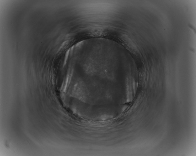 X0000091220035200709061508